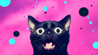 Funny Wallpaper By Laidoffatl