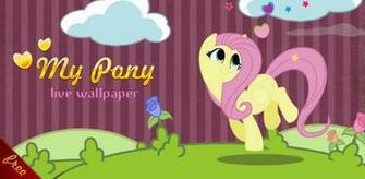 Cute Fluttershy Wallpaper Live