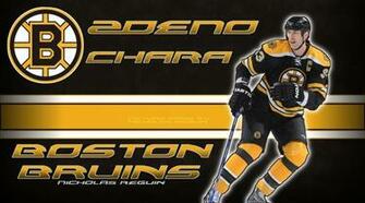 Zdeno Chara Wallpaper