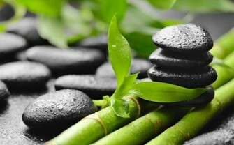 Feng Shui How This Ancient Art Can Help Improve Your Home Staging