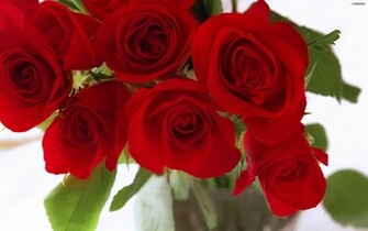 Youwall Red Roses Wallpaper