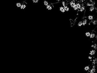 Black Background Wallpaper