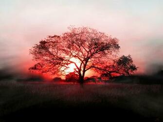 Amazing Red Sunset Computer Desktop Wallpaper Pictures Image