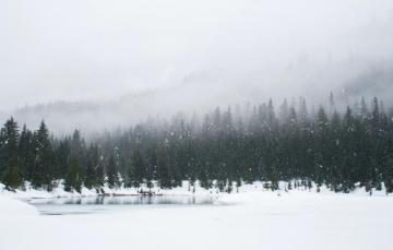 Snow Wallpaper HD Hq