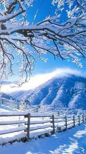 Snow Farm