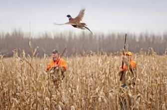 Tips For Trapping Hunting Survival Prepper Dome