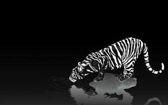 Wildlife Of The World Tiger Desktop Wallpaper HD