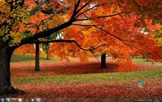 Msn Wallpaper And Screensaver Pack Autumn Baixaki