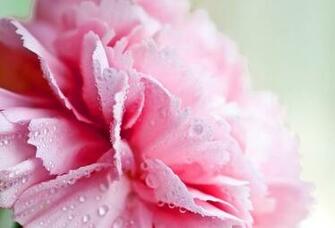 Girly Vintage Desktop Background Image