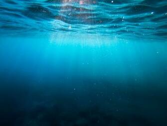 Underwater Image Stock Photos On