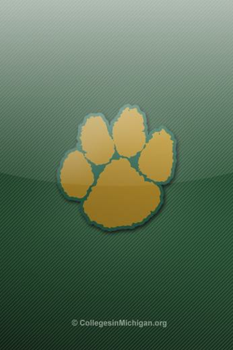 Michigan Wildcats iPhone Wallpaper Northern