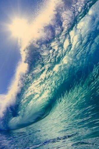 Source Url Smscs Photo Surfing Html