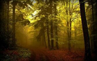Wallpaper Dream Woods HD Computer