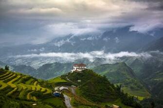Tea Plantation A House In The Mountains Wallpaper Photos Pictures