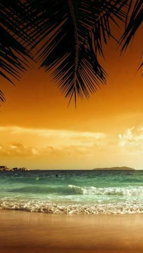 Beach iPhone Wallpaper Top Background