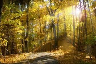 Wallpaper Amazing Nature Beautiful In HD