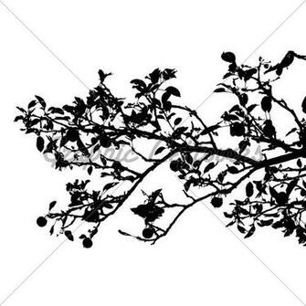 Apple Tree Branch Silhouette As A Design Element