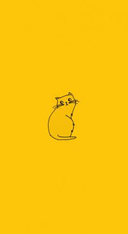 Cat Wallpaper iPhone Yellow Aesthetic