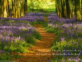 King James Kjb Versed Christian Wallpaper Matthew