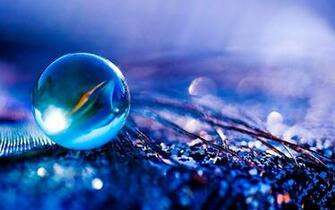 Desktop Background That Move