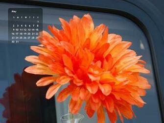 April Showers Bring May Flowers Screensavers Tattoos
