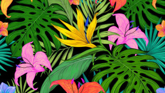 Aesthetic Tropical Wallpaper