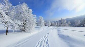 Winter Paradise HD Wallpaper