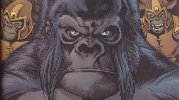 Gorilla Grodd HD Wallpaper Background Image