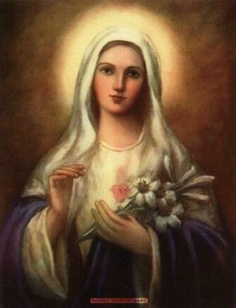 Best Image About Our Blessed Lady Immaculate Heart On