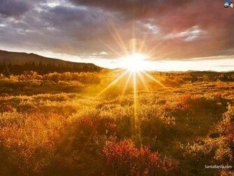 Sunrise Wallpaper