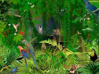 Descargar Imagen Jungle Animals Wallpaper HD Widescreen Gratis