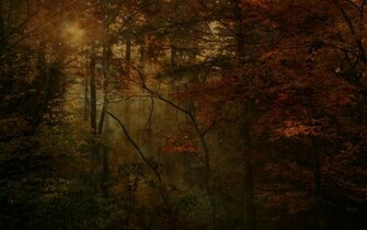 Enchanted Forest Wallpaper