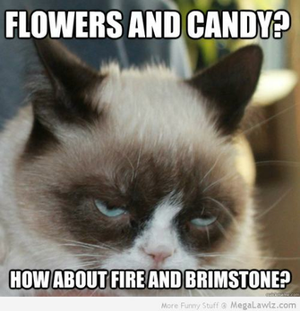 Grumpy 20cat Memes Best Collection Of Funny Pictures