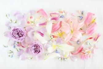 Digital Blooms June Desktop Wallpaper Justinecelina