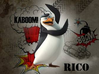 Rico Penguins Of Madagascar Wallpaper