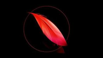 4k Red Feather Wallpaperfool