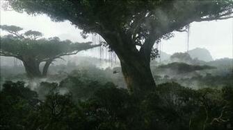 Imelda Mcconnell Rainforest Wallpaper