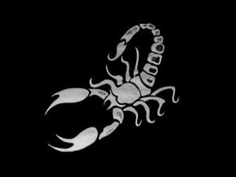 Scorpion HD Wallpaper Pulse