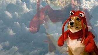 Reload Is With Legs Go Like Corgi Drawn