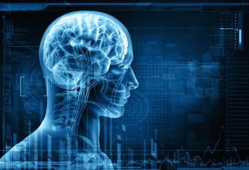 Best Brain Training Apps Cnn