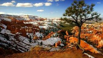 Bryce Canyon National Park Wallpaper X Net