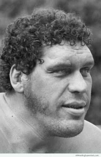 Andre The Giant Wwe Superstars Wallpaper Ppv S