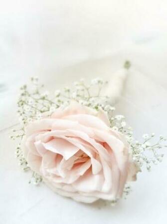 Blush Pink Wedding Inspiration Romantic Ideas Happywedd