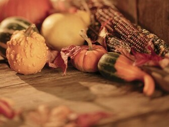 Thanksgiving Day Wallpaper Stock Photos