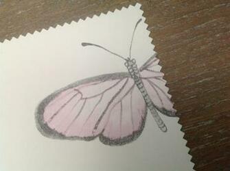 Chic Vintage Wallpaper Pastel Butterfly Shabby