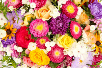 Real Colorful Flower Background Wallpaper