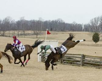 Horse Racing Wallpaper In Sunset Black