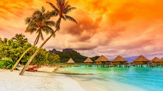 Beach Cloud Holiday Hut Palm Tree Sand Tropical 4k