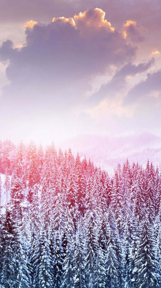 Cute Winter Snow Trees Background Wallpaper