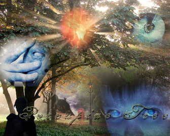 Porcupine Tree Background Wallpaper